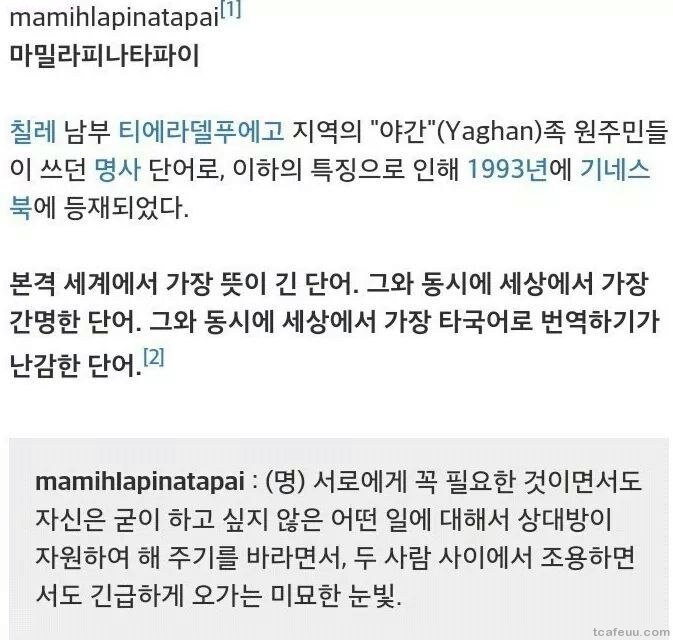 세상에서 가장 긴 뜻을 가진 단어_1.jpg