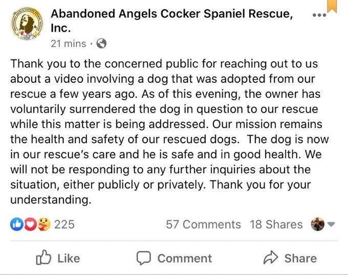 미국에서 일어난 일_3.jpg