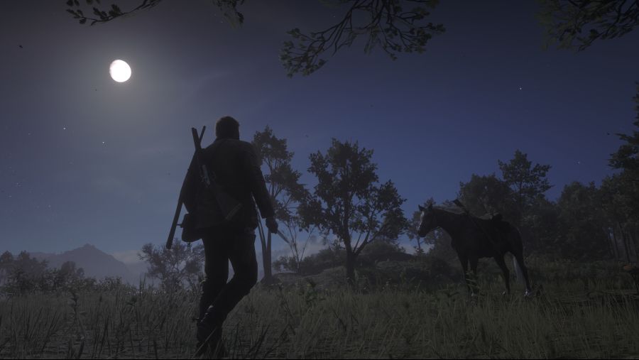 Red Dead Redemption 2 2020-05-23 23-18-26.jpg