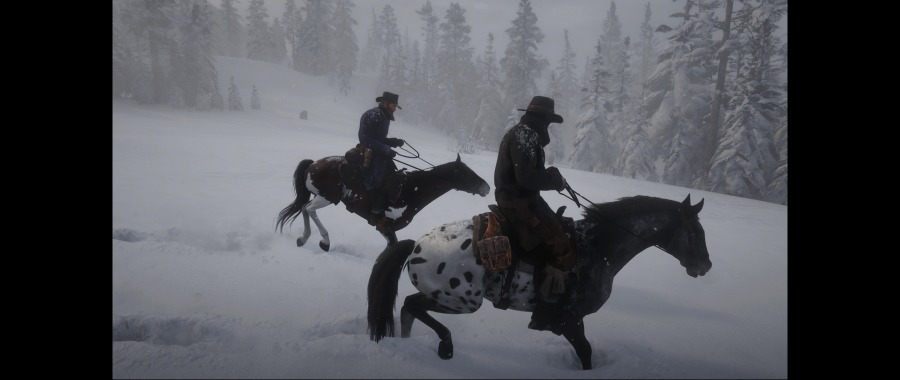 Red Dead Redemption 2 Screenshot 2020.06.07 - 11.44.26.89.png