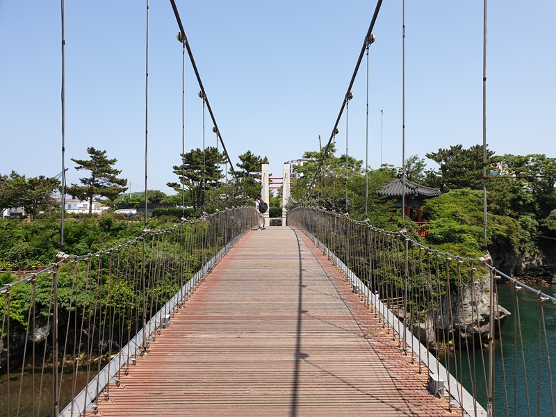 (초스압) 제주 환상자전거길 234 km 완주 도전 겸사겸사 먹부림 여행_4.jpg