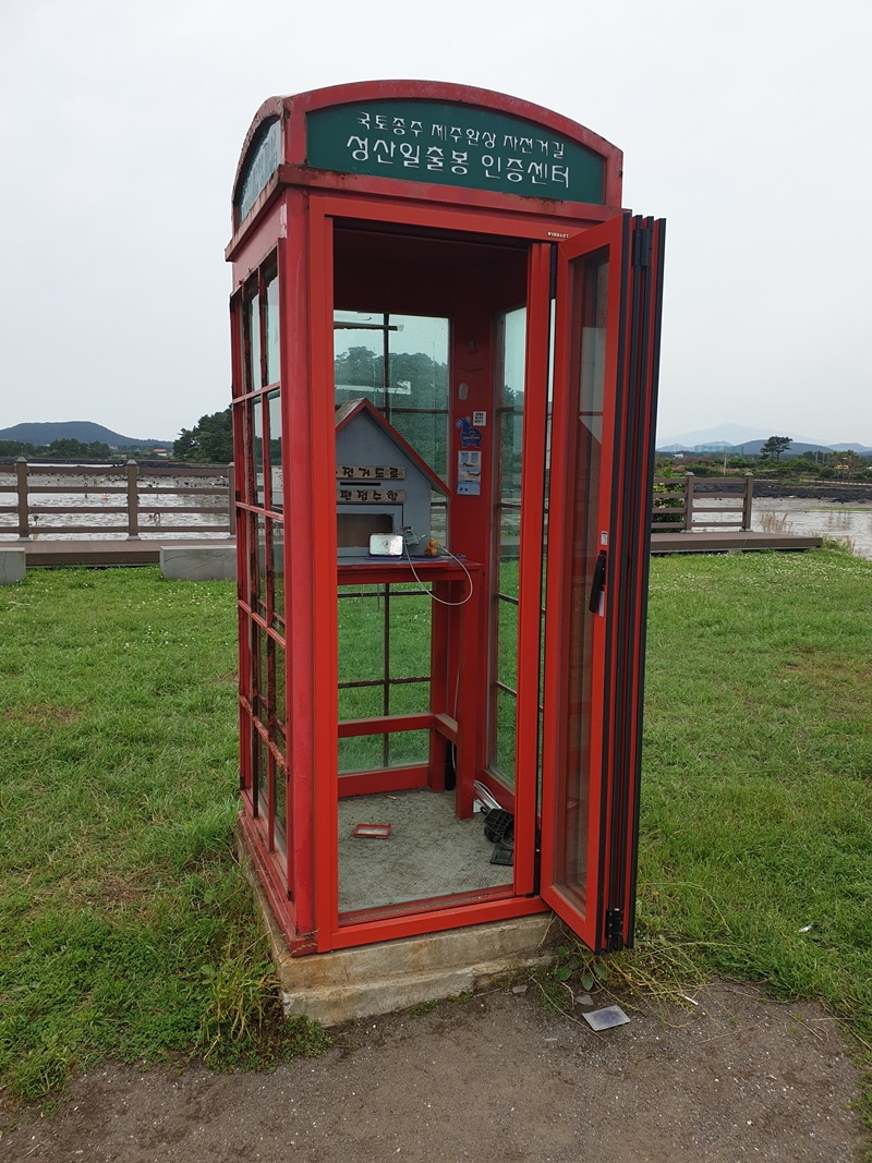 (초스압) 제주 환상자전거길 234 km 완주 도전 겸사겸사 먹부림 여행_76.jpg
