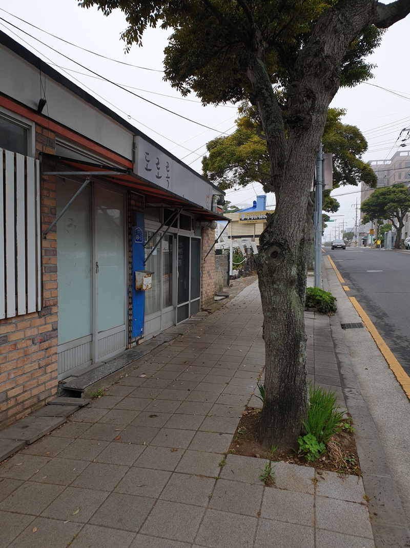 (초스압) 제주 환상자전거길 234 km 완주 도전 겸사겸사 먹부림 여행_82.jpg