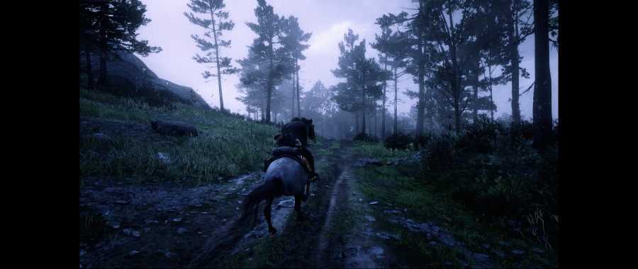 Red Dead Redemption 2 Screenshot 2020.06.07 - 19.38.30.19.png