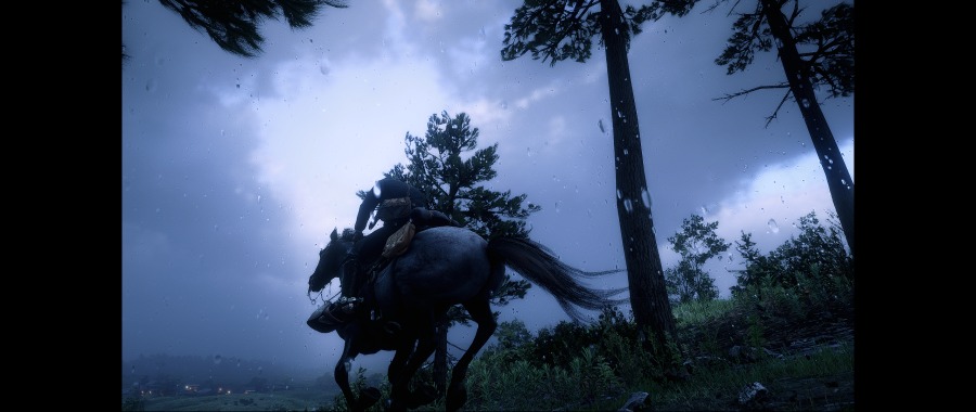 Red Dead Redemption 2 Screenshot 2020.06.07 - 19.39.37.28.png