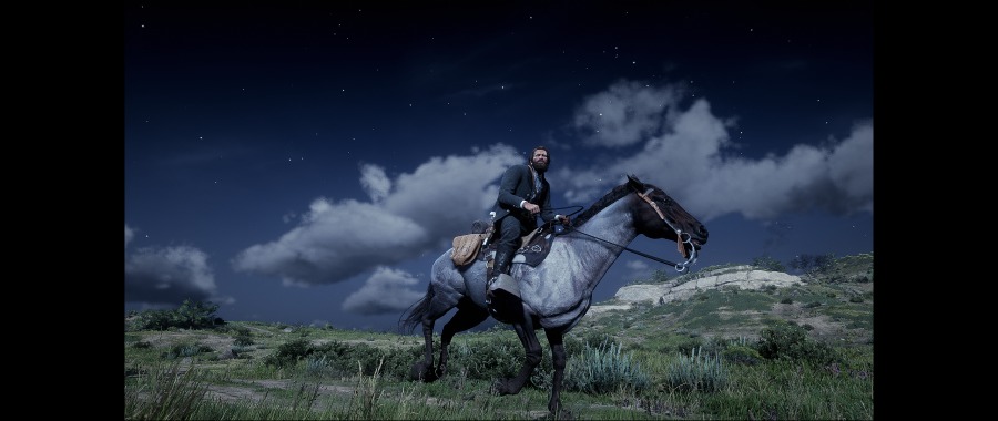 Red Dead Redemption 2 Screenshot 2020.06.07 - 19.49.55.32.png