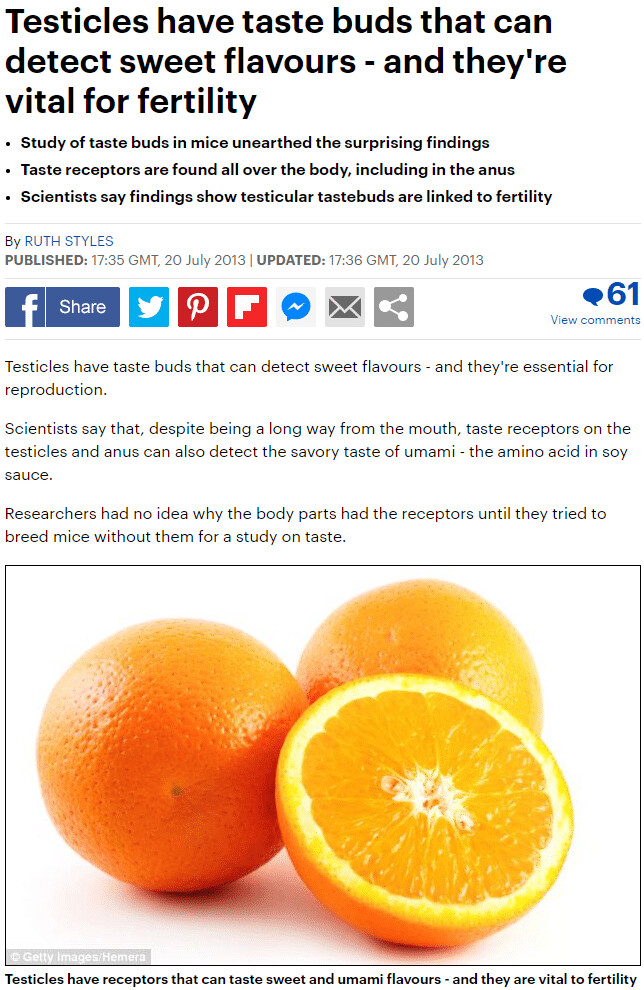 정보) 고환에도 미각세포가 있다_1.png