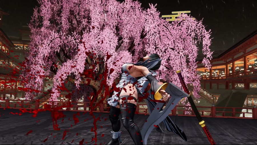 SAMURAI SHODOWN_20200514133904.jpg