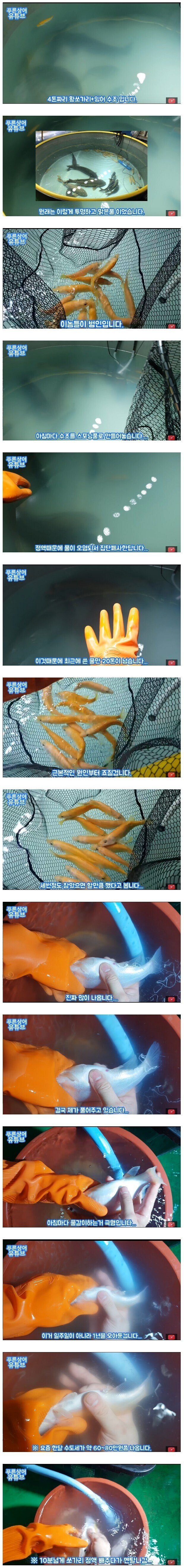 남의 정액 빼주는 유튜버.jpg_1.jpg