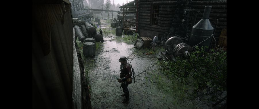 Red Dead Redemption 2 Screenshot 2020.06.08 - 15.00.13.96.png
