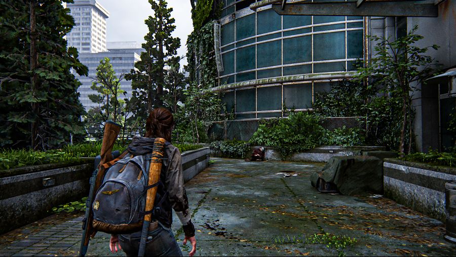 The Last of Us™ Part II_20200623164948.png
