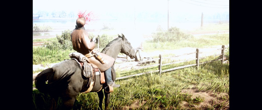 Red Dead Redemption 2 Screenshot 2020.07.07 - 17.40.47.56.png