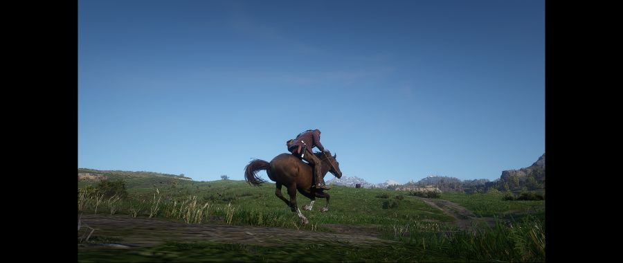 Red Dead Redemption 2 Screenshot 2020.06.09 - 17.36.41.73.png