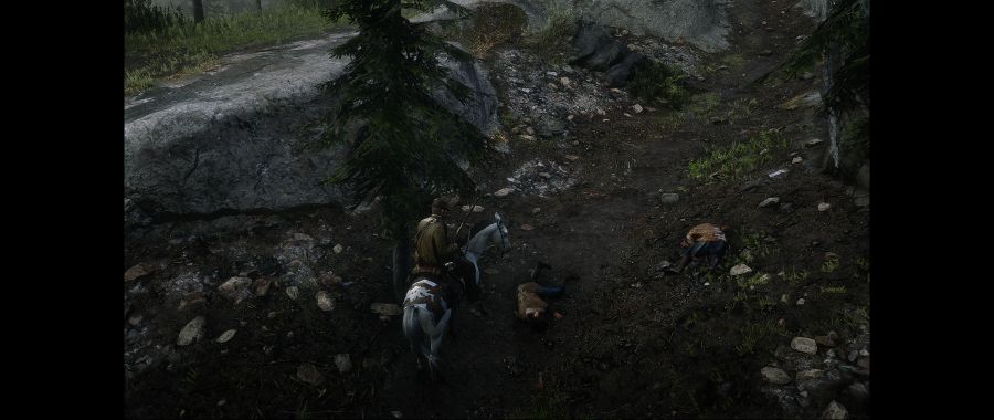 Red Dead Redemption 2 Screenshot 2020.06.10 - 01.49.47.77.png