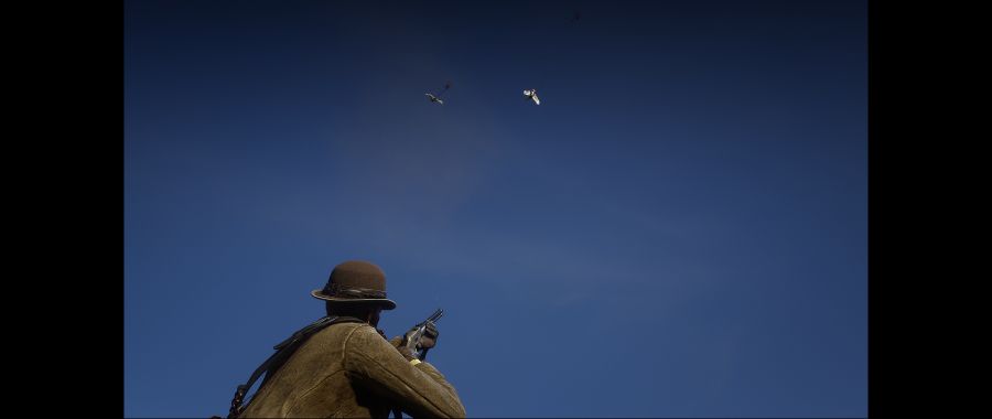 Red Dead Redemption 2 Screenshot 2020.06.10 - 01.54.52.86.png