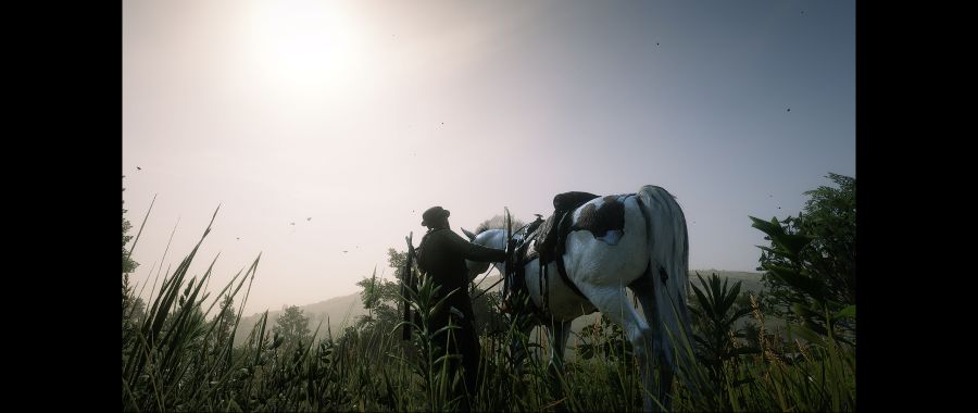 Red Dead Redemption 2 Screenshot 2020.06.10 - 02.18.56.85.png