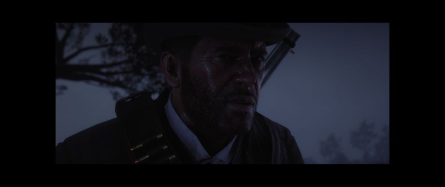 Red Dead Redemption 2 Screenshot 2020.06.10 - 02.39.14.77.png