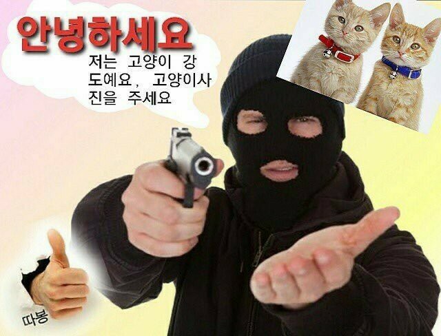 저장용 강도짤_1.jpg