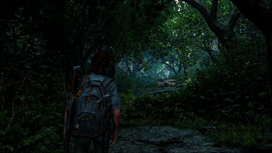 The Last of Us™ Part II_20200626153933.png