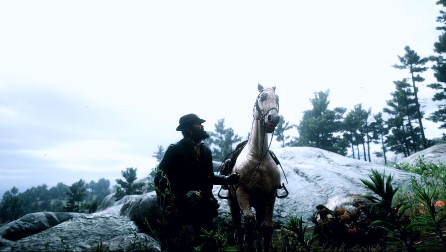 Red Dead Redemption 2 Screenshot 2020.07.17 - 03.50.50.07 복사.png