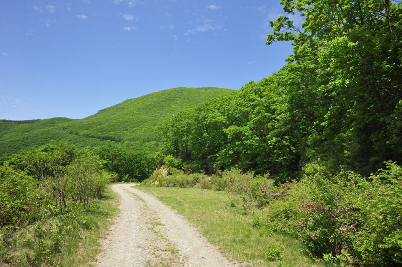 jeongtaeyeongsam_view4.jpg