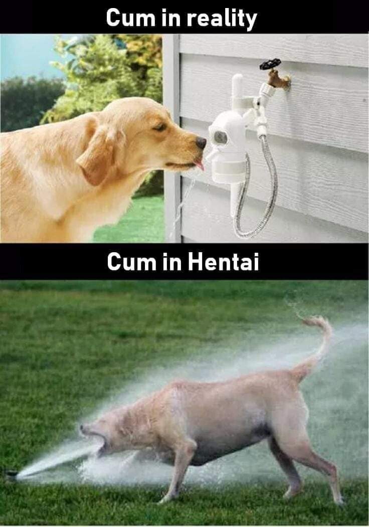 현실과 19금지 차이.JPG_1.jpg
