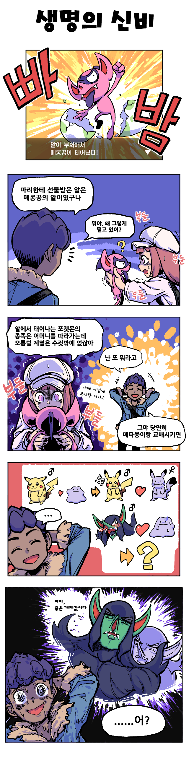 08생명의 신비.png