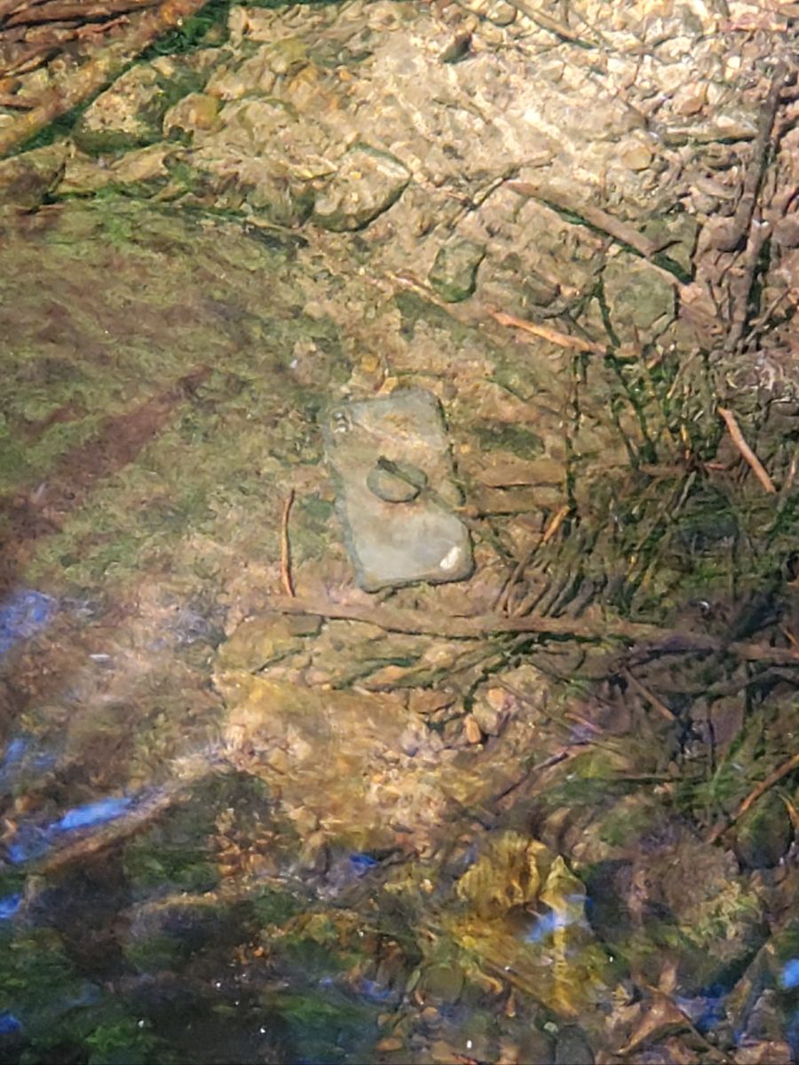 코로나 대처에는 캠핑밥이 최고죠!_13.jpg