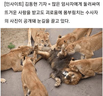 종말의 하렘.jpg_2.jpg