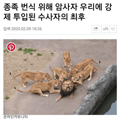 종말의 하렘.jpg_1.jpg