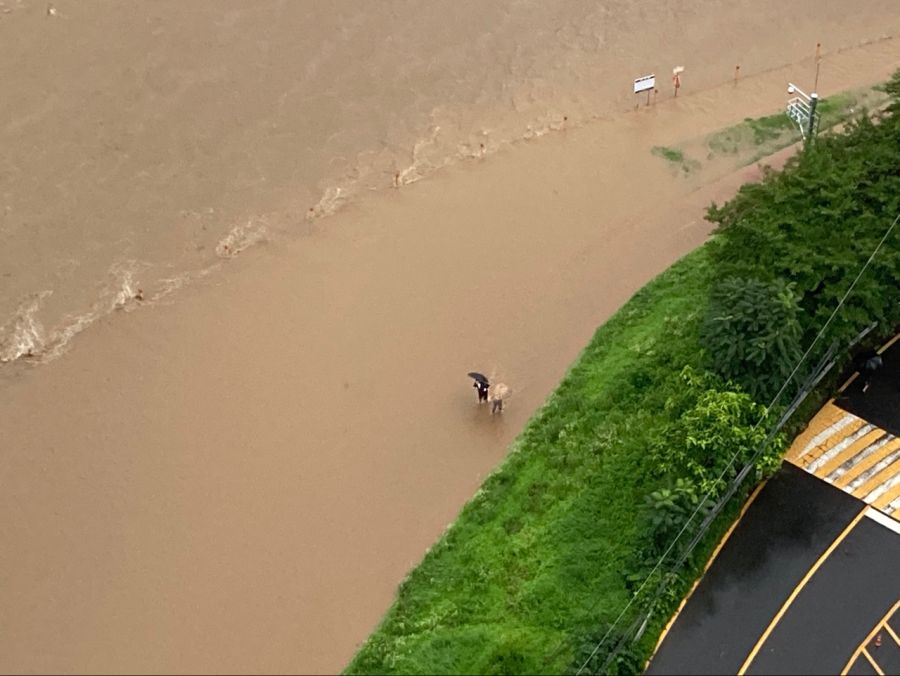 대전 폭우 근황 jpg_2.jpg