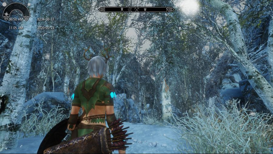 Elder Scrolls V Skyrim Screenshot 2020.05.23 - 11.05.32.34.png
