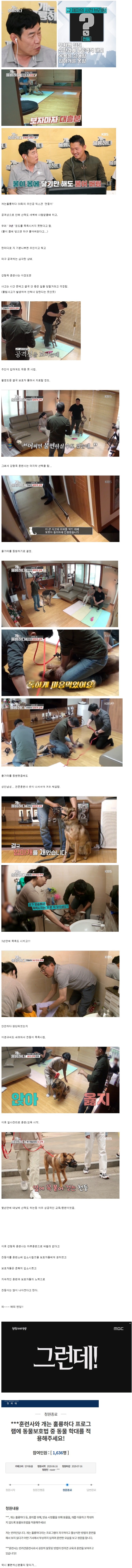 킹갓 반려인_1.jpg