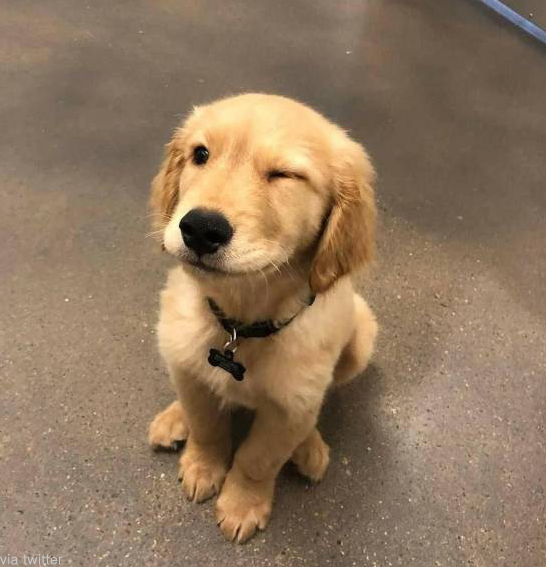 후방)와따시 탄생 기념일로 짤뿌린다._10.jpg