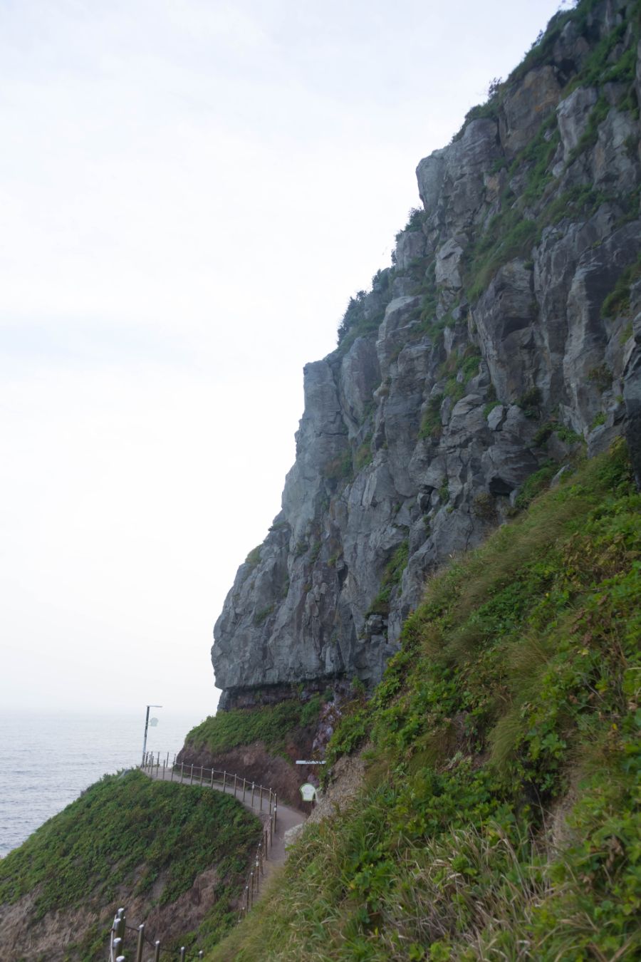 새들의 고향, 우리 땅 - 3박 4일 울릉도 여행기 (1일 차)_59.jpg