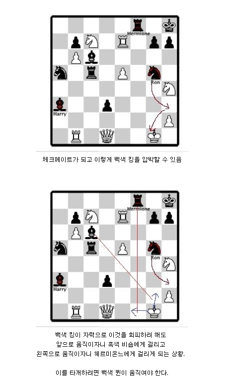 해리포터 마법사의 돌 영화에서 론이 설계한 체스 전술_2.png
