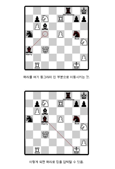 해리포터 마법사의 돌 영화에서 론이 설계한 체스 전술_5.png