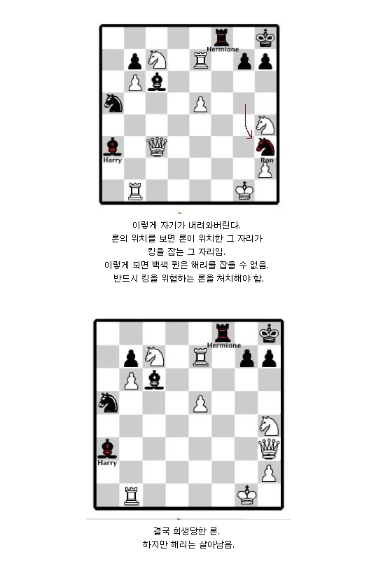해리포터 마법사의 돌 영화에서 론이 설계한 체스 전술_7.png