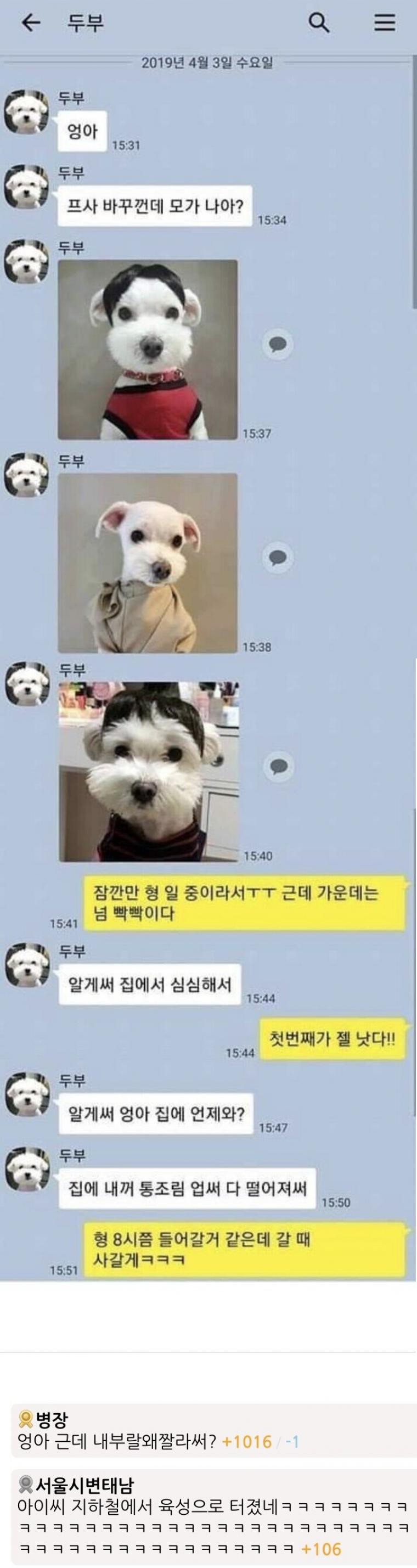 댕댕이와의 카톡 상상도_1.jpeg