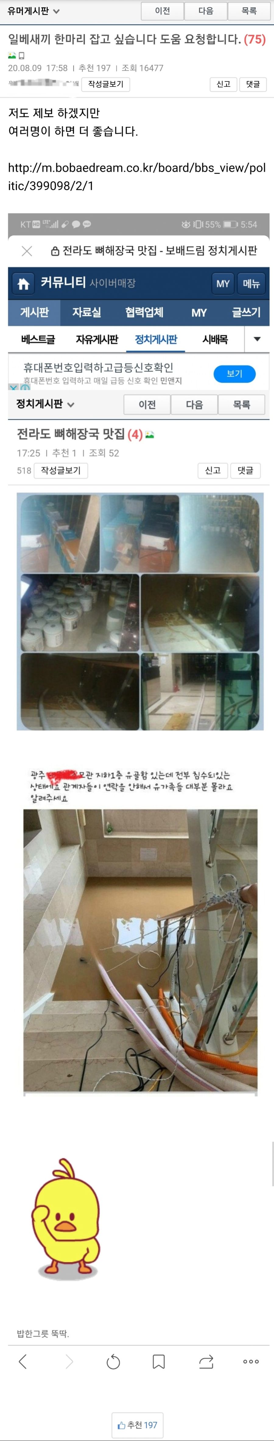 보배펌)약혐) 곧 인실ㅈ 당할 벌레ㅆㄲ.jpg_1.jpg