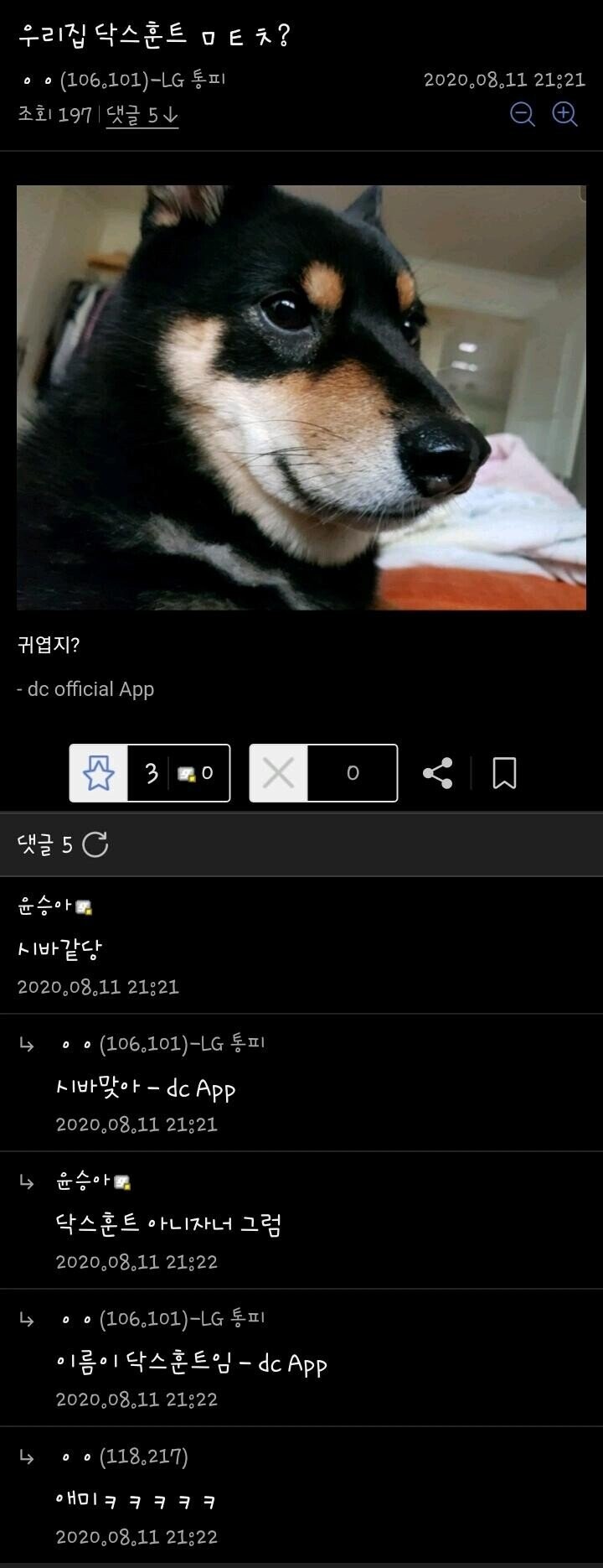 우리집 닥스훈트 귀엽지?_1.jpg