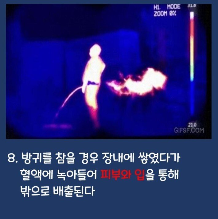 핵신기한 몸 특징 TOP 10_3.jpeg
