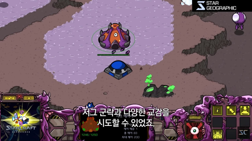 스타크래프트 다큐멘터리 근황.jpg_6.jpg