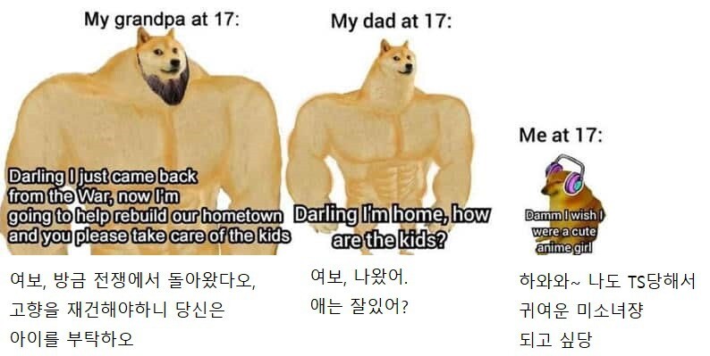 시대에 따라 변화하는 강아지 밈 근황.jpg_5.jpg