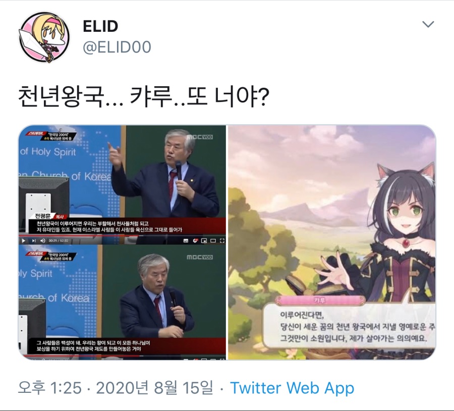전광훈 : 하나님이 천년왕국을 세우면 우리가 왕이 된다_3.jpeg