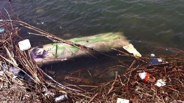 익사체로 발견된 어느 유게이의 여친_1.jpg