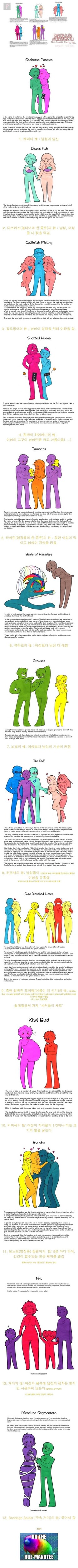 유게이들이라면 필히 알아야할 상식_1.jpg