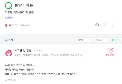 Q: 농발거미 어떻게 처리하나요?_1.jpg