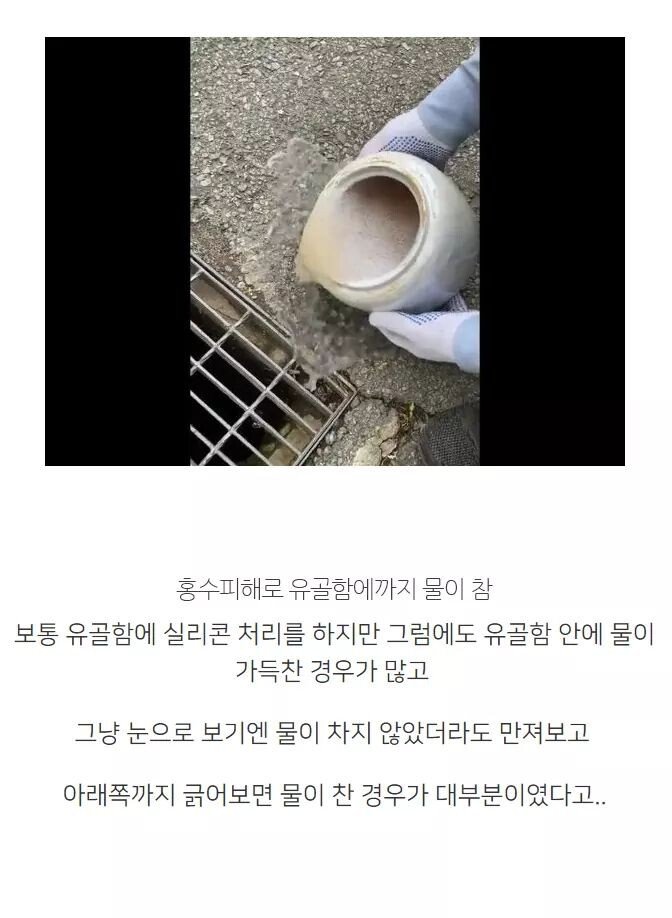 현재 농심에 제보된 트윗.jpg_3.jpeg