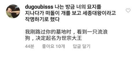 선넘는 중국인들(이효리 인스타)_4.jpeg